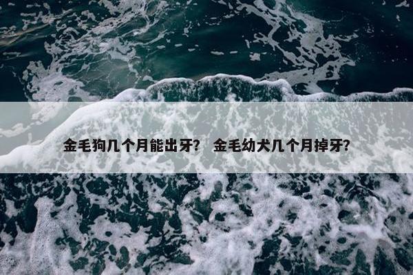金毛狗几个月能出牙？ 金毛幼犬几个月掉牙？