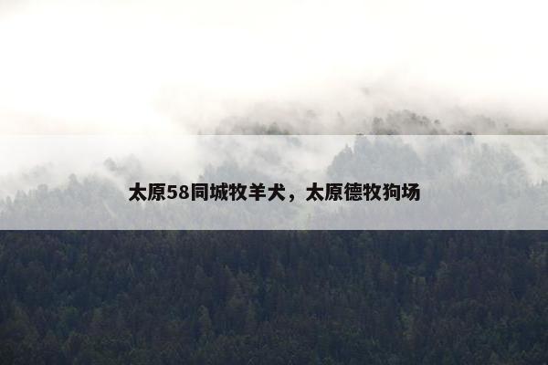 太原58同城牧羊犬，太原德牧狗场
