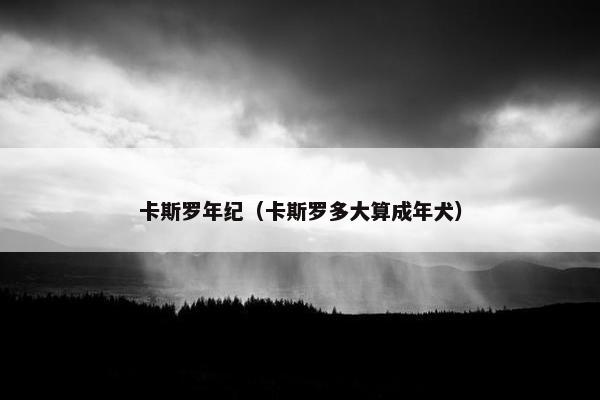 卡斯罗年纪（卡斯罗多大算成年犬）