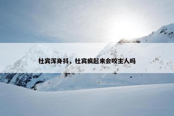 杜宾浑身抖，杜宾疯起来会咬主人吗