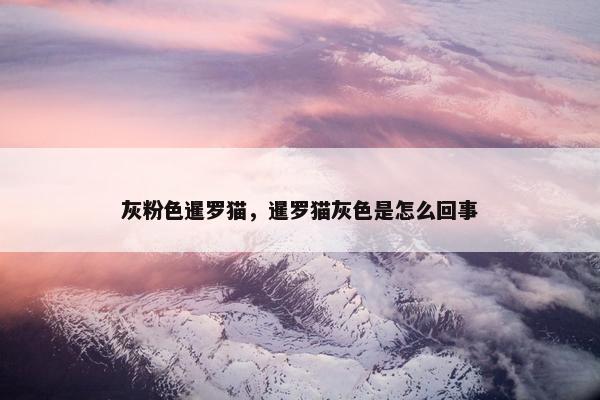 灰粉色暹罗猫，暹罗猫灰色是怎么回事