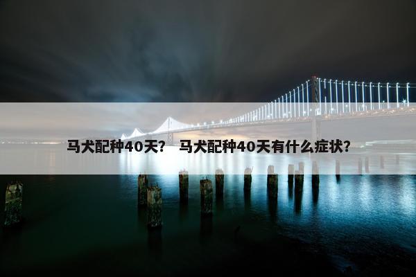 马犬配种40天？ 马犬配种40天有什么症状？