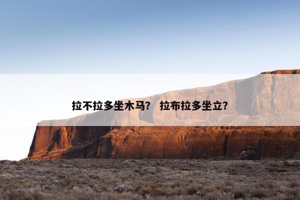 拉不拉多坐木马？ 拉布拉多坐立？