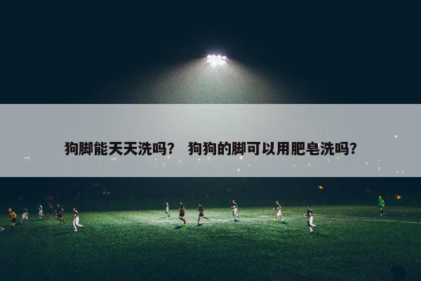 狗脚能天天洗吗？ 狗狗的脚可以用肥皂洗吗？