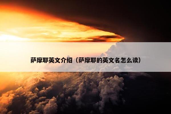萨摩耶英文介绍（萨摩耶的英文名怎么读）