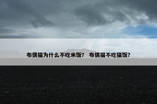 布偶猫为什么不吃米饭？ 布偶猫不吃猫饭？