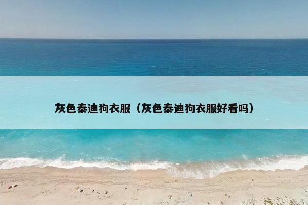 灰色泰迪狗衣服（灰色泰迪狗衣服好看吗）