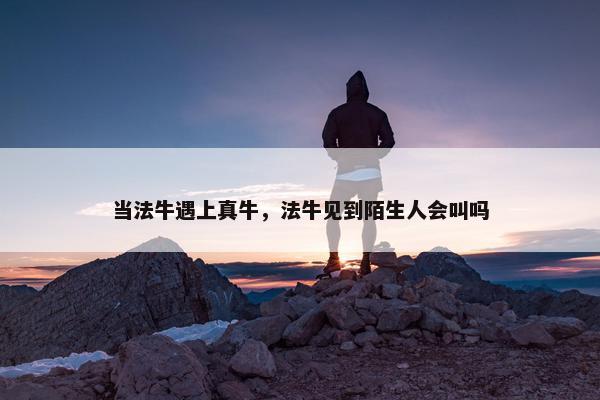 当法牛遇上真牛，法牛见到陌生人会叫吗