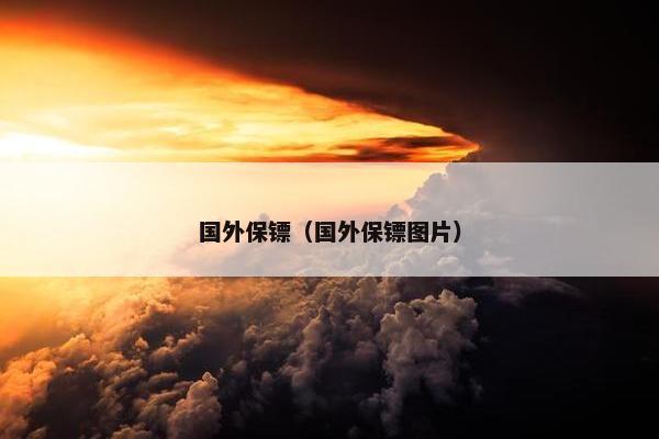 国外保镖（国外保镖图片）