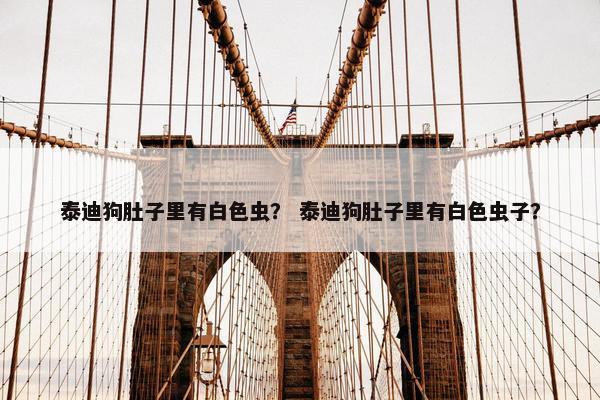 泰迪狗肚子里有白色虫？ 泰迪狗肚子里有白色虫子？