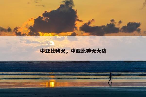 中亚比特犬，中亚比特犬大战