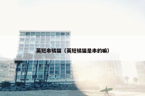 英短串橘猫（英短橘猫是串的嘛）