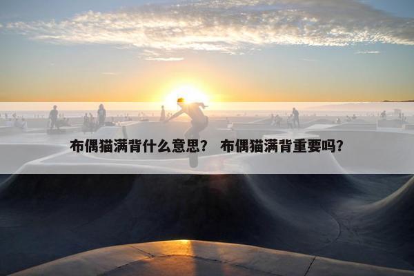 布偶猫满背什么意思？ 布偶猫满背重要吗？