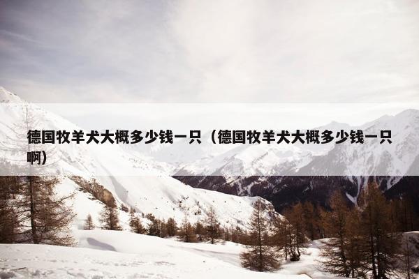 德国牧羊犬大概多少钱一只（德国牧羊犬大概多少钱一只啊）