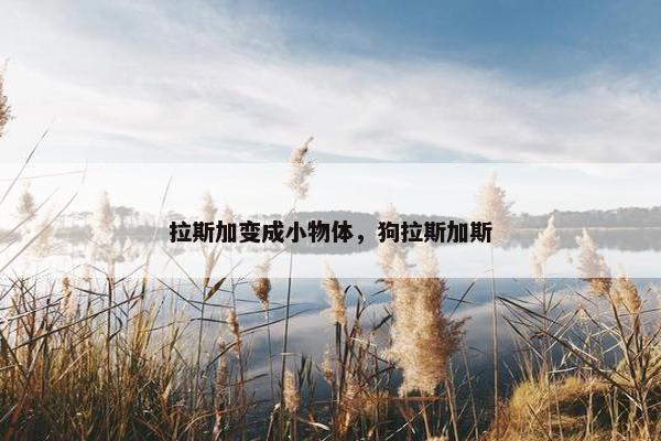 拉斯加变成小物体，狗拉斯加斯