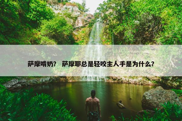 萨摩啃奶？ 萨摩耶总是轻咬主人手是为什么？