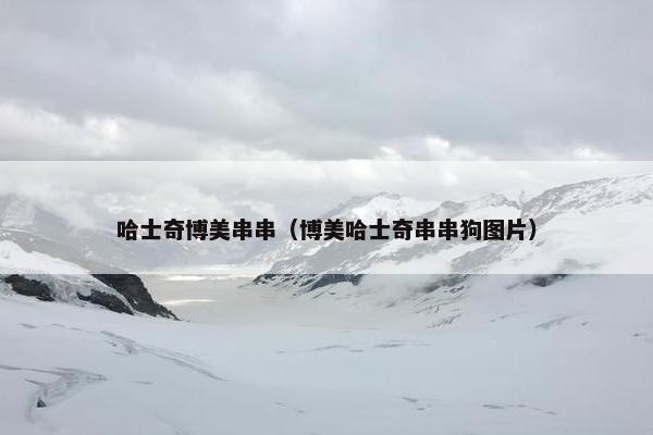 哈士奇博美串串（博美哈士奇串串狗图片）