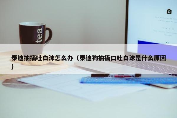 泰迪抽搐吐白沫怎么办（泰迪狗抽搐口吐白沫是什么原因）