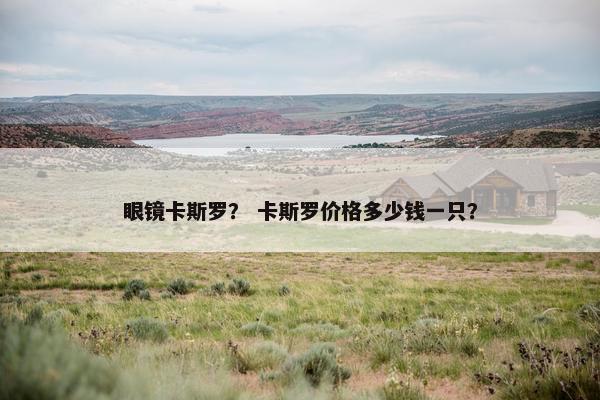 眼镜卡斯罗？ 卡斯罗价格多少钱一只？