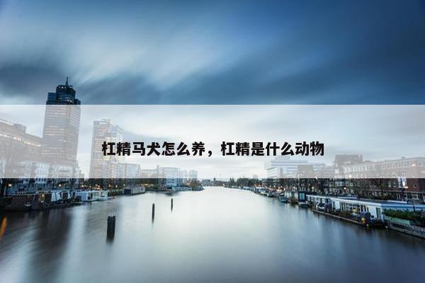 杠精马犬怎么养，杠精是什么动物