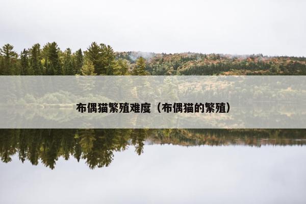 布偶猫繁殖难度（布偶猫的繁殖）