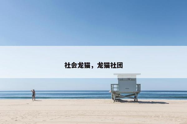 社会龙猫，龙猫社团