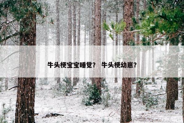 牛头梗宝宝睡觉？ 牛头梗幼崽？