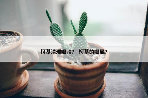 柯基清理眼睛？ 柯基的眼屎？