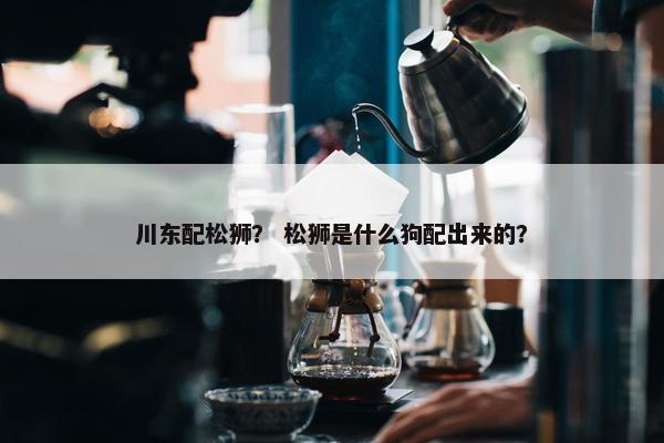 川东配松狮？ 松狮是什么狗配出来的？