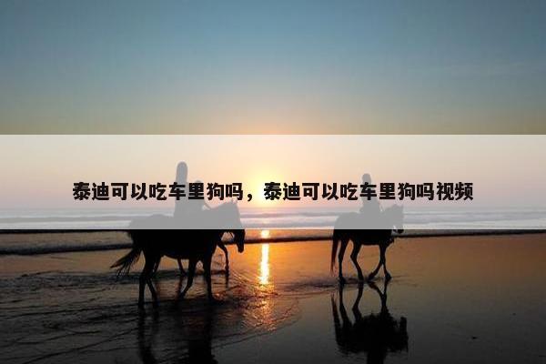 泰迪可以吃车里狗吗，泰迪可以吃车里狗吗视频