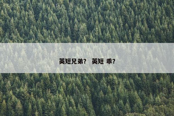 英短兄弟？ 英短 乖？