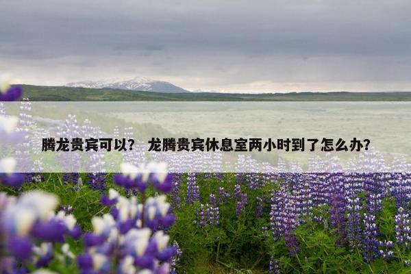 腾龙贵宾可以？ 龙腾贵宾休息室两小时到了怎么办？