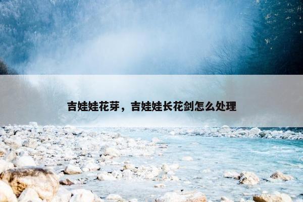 吉娃娃花芽，吉娃娃长花剑怎么处理