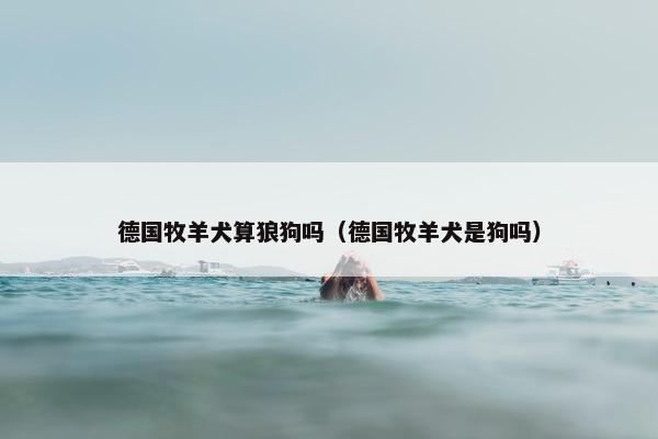 德国牧羊犬算狼狗吗（德国牧羊犬是狗吗）