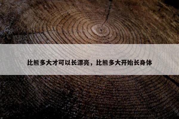 比熊多大才可以长漂亮，比熊多大开始长身体