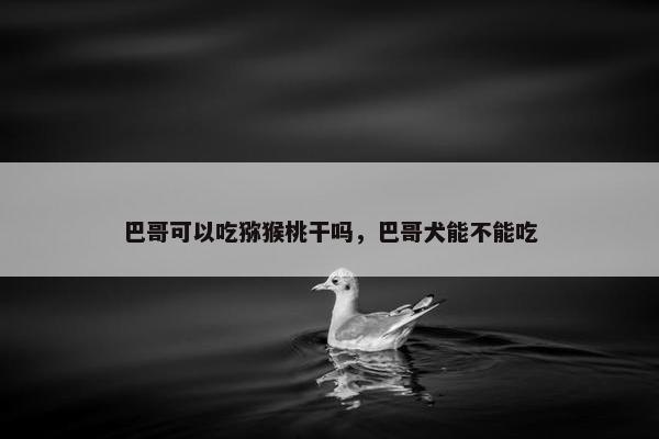 巴哥可以吃猕猴桃干吗，巴哥犬能不能吃