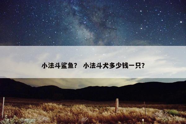 小法斗鲨鱼？ 小法斗犬多少钱一只？