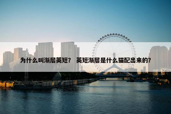 为什么叫渐层英短？ 英短渐层是什么猫配出来的？