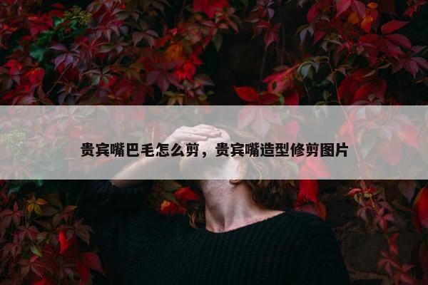 贵宾嘴巴毛怎么剪，贵宾嘴造型修剪图片