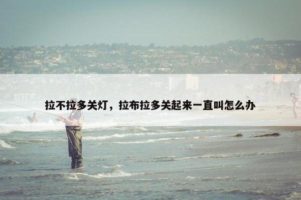 拉不拉多关灯，拉布拉多关起来一直叫怎么办