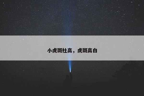 小虎斑杜高，虎斑高白