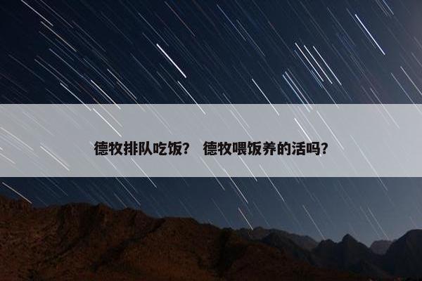 德牧排队吃饭？ 德牧喂饭养的活吗？