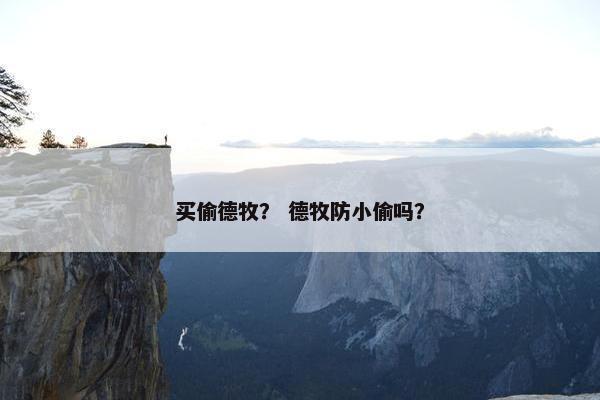 买偷德牧？ 德牧防小偷吗？