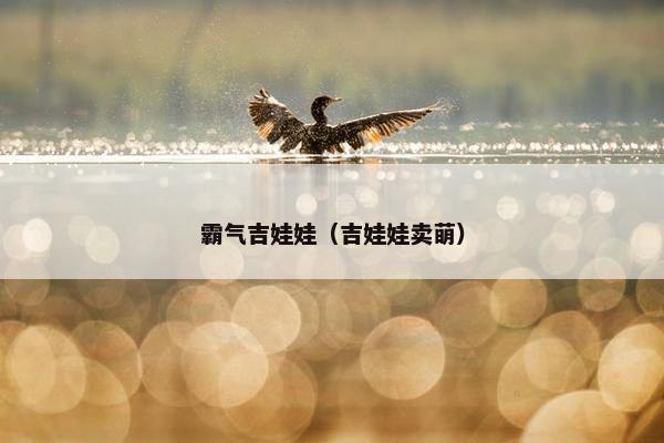 霸气吉娃娃（吉娃娃卖萌）