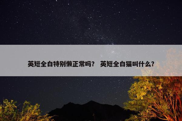 英短全白特别懒正常吗？ 英短全白猫叫什么？