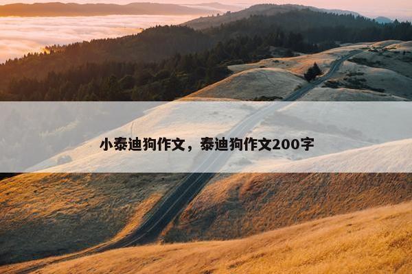 小泰迪狗作文，泰迪狗作文200字