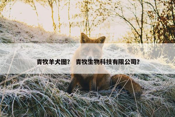 青牧羊犬图？ 青牧生物科技有限公司？