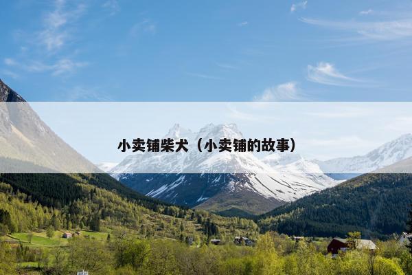 小卖铺柴犬（小卖铺的故事）