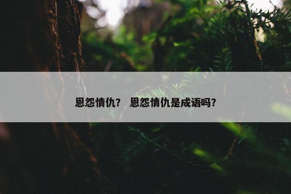 恩怨情仇？ 恩怨情仇是成语吗？