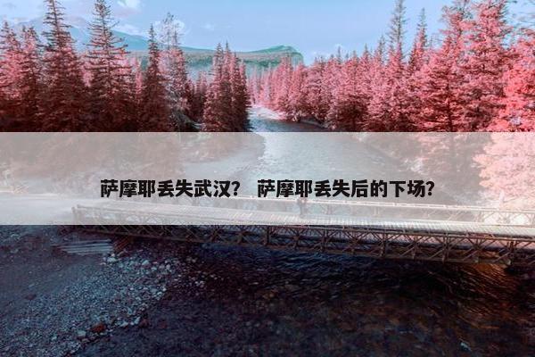 萨摩耶丢失武汉？ 萨摩耶丢失后的下场？